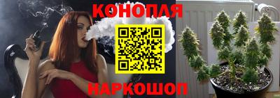 гидра Балашиха