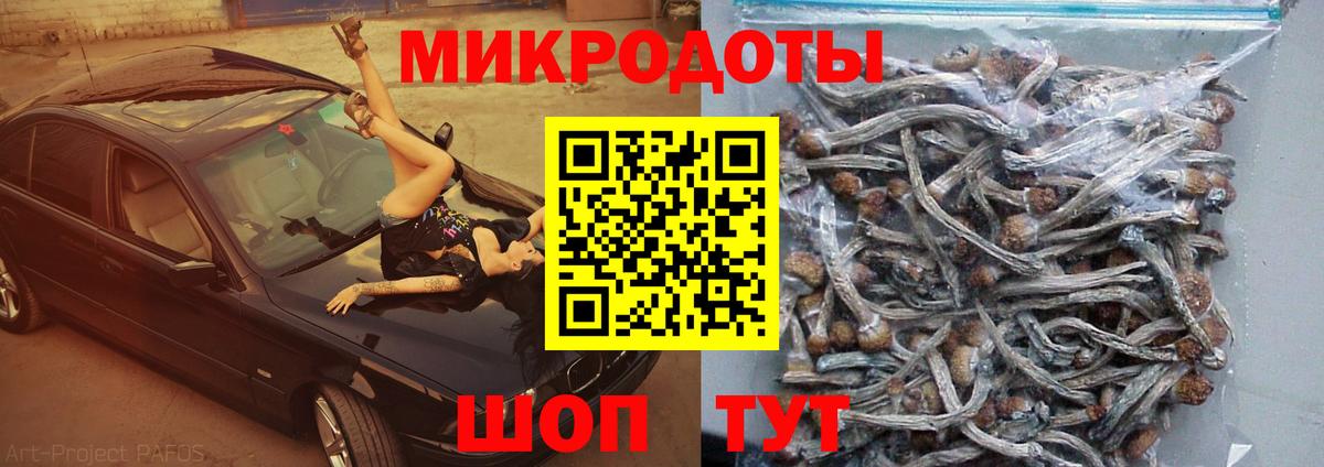 Галлюциногенные грибы Psilocybine cubensis  Вход с VPN  Дзержинский 